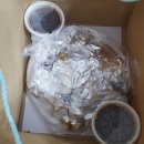 콕스바베큐 이미지