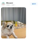 에버펫 동물병원 이미지