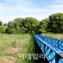피크닉바람