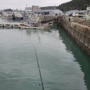 신진도민박