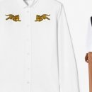 캐주얼크레스트 이미지