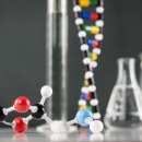 선창초교 이미지