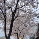 우송삼거리 이미지