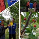 강현농장 이미지