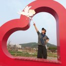 신라아구찜 | [2026-03-27/금] 양산 맛집 ♥청대포아구찜에서 대구알탕과 테라 혼밥 혼술 후기