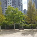 지족초등학교(병설) 이미지