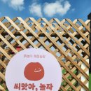 물감놀이부터 흙놀이까지! 용인 씨앗아놀자 체험 후기