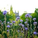 조경기능사필기 이미지