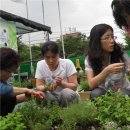 사랑방모임경로당 이미지