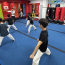 경희대 박사 Tiger kicks 태권도 이미지