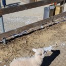 수화목장 이미지