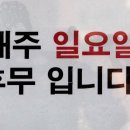 미스터킴팝
