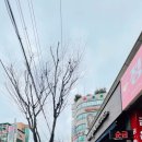 반미362 호원점 이미지