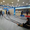 용인대엘리트태권도체육관 이미지