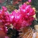 문섬·범섬천연보호구역 이미지