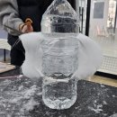 벨라루시애견미용학원 이미지