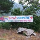 아루농장 이미지