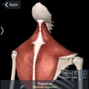 바디테일러 PT 이미지