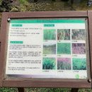 신동근린공원 이미지