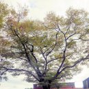 우산리마을회관 이미지