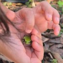고성 잔디 캠핑장 이미지