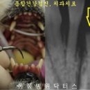 닥터스종합동물병원 이미지