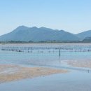 하단동1163 이미지