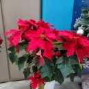 손해평가사 1차 - 재배학 및 원예작물학 이미지