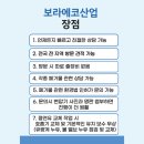 일지 태양광발전소 이미지