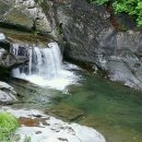 가리왕산목장 이미지