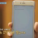 데이그래피 이미지