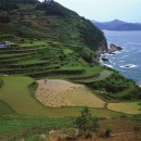 금산재래시장1 이미지