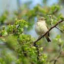 장안하이츠빌 이미지