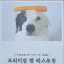 포지티브 보울 이미지