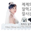치킨플러스원종점