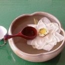 약초꾼이 실토한 토종 약초의 대박 효능 모음 이미지