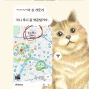 멕시 보꾸
