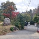 그린팜영농조합법인 이미지