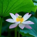 수원시 팔달구 중부대로12번길 이미지