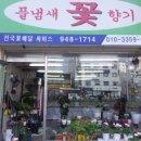 풀냄새꽃향기 이미지