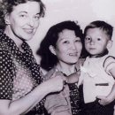 보건복지회 이미지