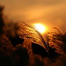 유정낚시터 이미지