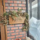 웰니스 트레이닝 스튜디오 | 서울숲 요가스토리 요가원 릴랙스 하타 원데이클래스 후기(feat. 오붓 웰니스패스)