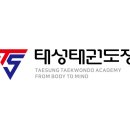 용인대 태성태권도장 이미지