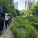 길의 등허리를 따라 뜨거운 하루를 걷다 –서울둘레길 17~18코스 이미지