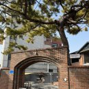 이천시 공설운동장 축구장 | 이천 까사디차차 :: 분위기 좋은 베이커리 카페 내돈내산 후기