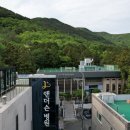 나무병원건강한숲 이미지