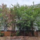 병점중앙로193번길 이미지