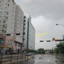 미사 나룰 모터스 이미지