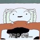 경기도 수원시 권선구 고색로66번길 14-5 (고색동) | #2025-7 알차고 행복한 일상